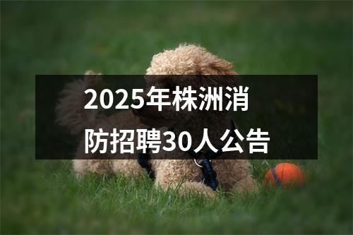 2025年株洲消防招聘30人公告 图片