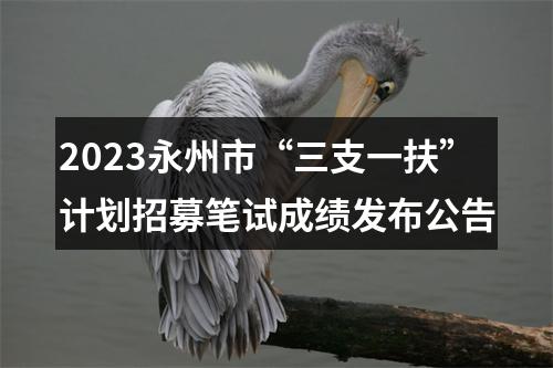 2023永州市“三支一扶”计划招募笔试成绩发布公告 图片