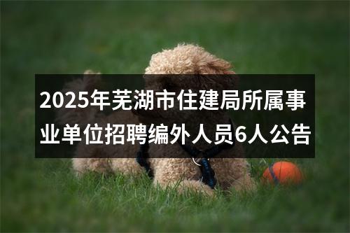 2025年芜湖市住建局所属事业单位招聘编外人员6人公告 图片