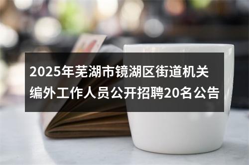 2025年芜湖市镜湖区街道机关编外工作人员公开招聘20名公告 图片