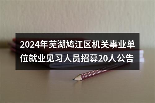 2024年芜湖鸠江区机关事业单位就业见习人员招募20人公告 图片