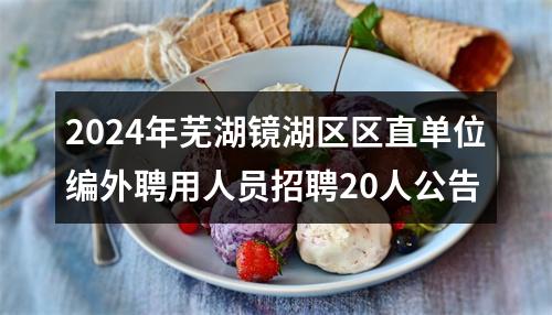 2024年芜湖镜湖区区直单位编外聘用人员招聘20人公告 图片