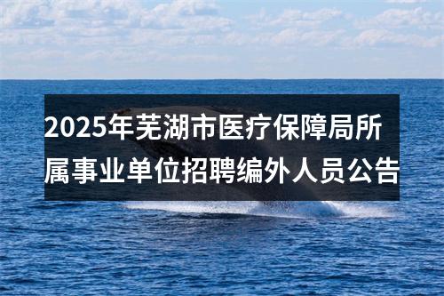 2025年芜湖市医疗保障局所属事业单位招聘编外人员公告 图片