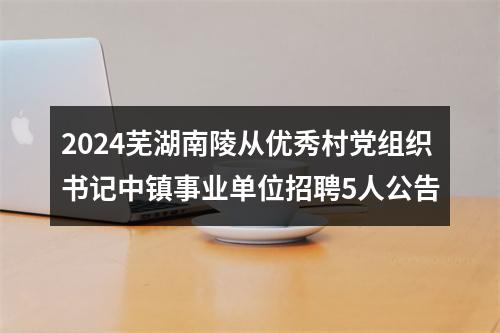 2024芜湖南陵从优秀村党组织书记中镇事业单位招聘5人公告 图片