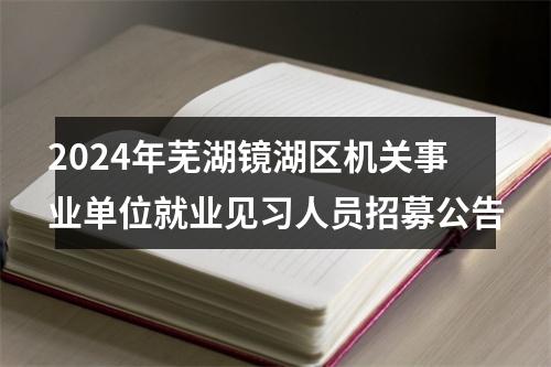 2024年芜湖镜湖区机关事业单位就业见习人员招募公告 图片