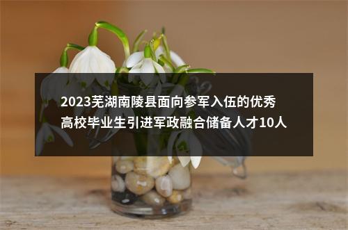 2023芜湖南陵县面向参军入伍的优秀高校毕业生引进军政融合储备人才10人公告 图片