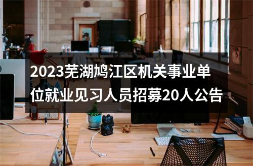 2023芜湖鸠江区机关事业单位就业见习人员招募20人公告 图片