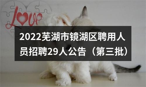 2022芜湖市镜湖区聘用人员招聘29人公告（第三批） 图片