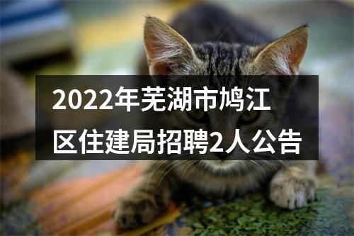 2022年芜湖市鸠江区住建局招聘2人公告 图片