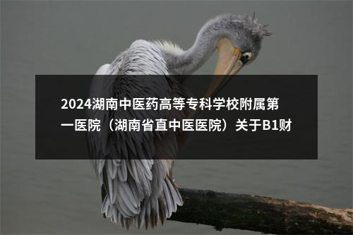 2024湖南中医药高等专科学校附属第一医院（湖南省直中医医院）关于B1财务专干岗位笔试内容调整的通知 图片