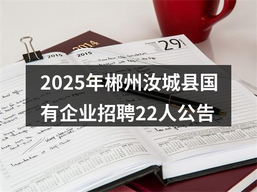 2025年郴州汝城县国有企业招聘22人公告 图片