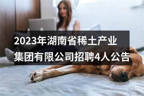 2023年湖南省稀土产业集团有限公司招聘4人公告 图片