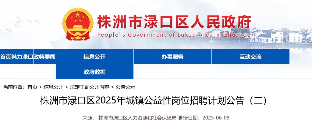 2025湖南株洲市渌口区城镇公益性岗位招聘计划2人公告（二） 图片